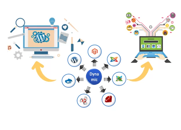 Dynamic website designing